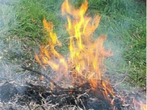 Abbruciamenti residui vegetali