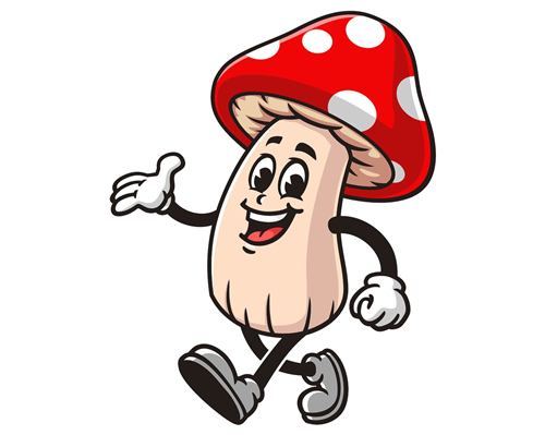 Controllo commestibilità' funghi
